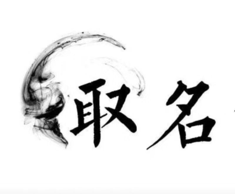  宏伟宝宝取名 大师一对一人工起名