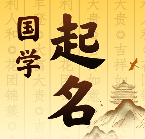 宏伟国学起名 人工起名一对一